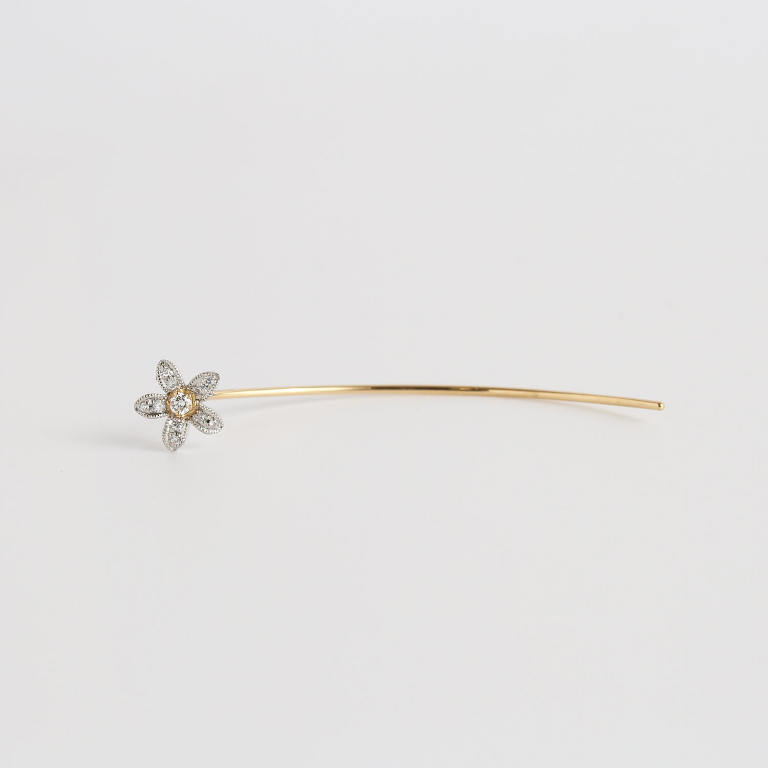 Ichirin | Oxalis Pierce
