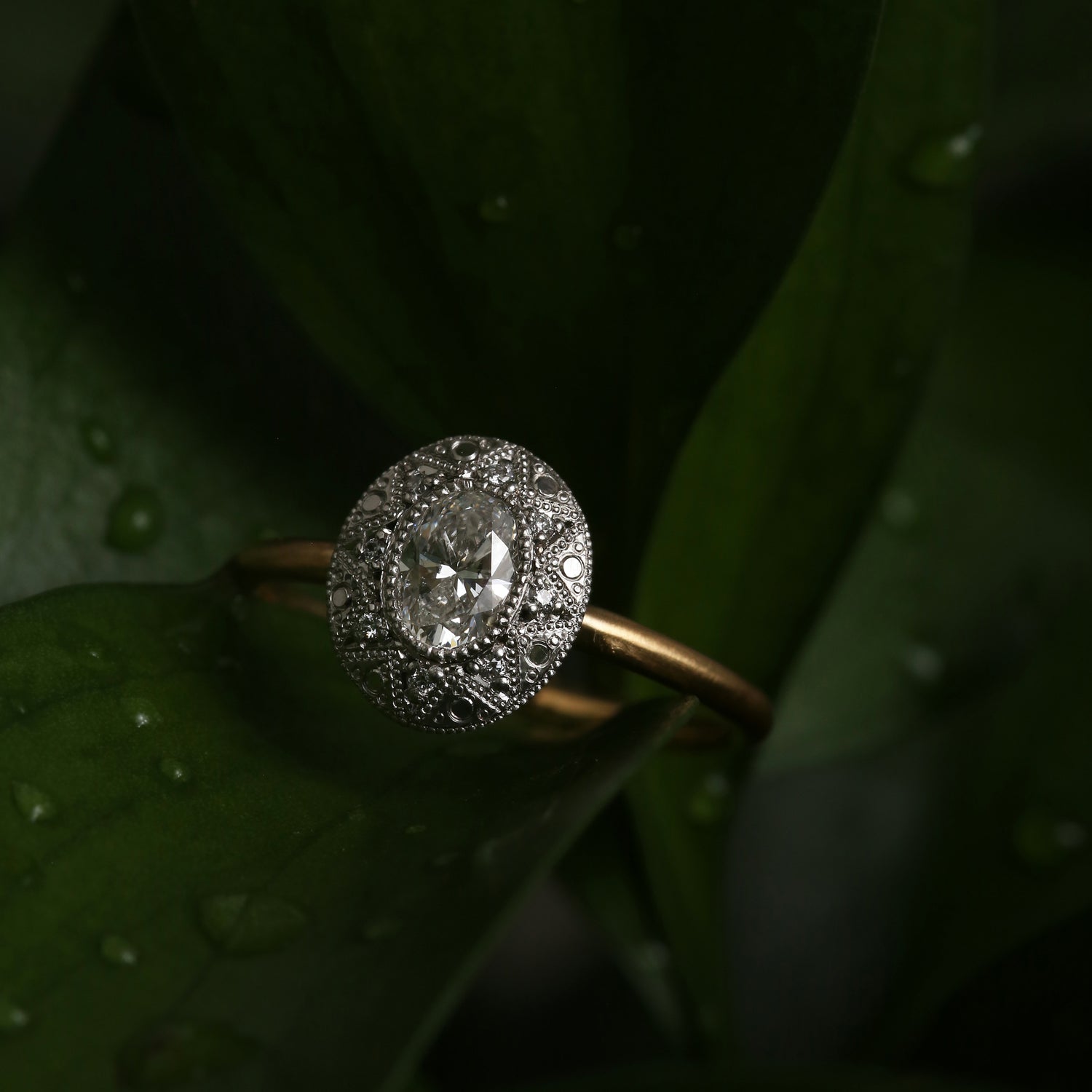 Le Marais | Oval Ring